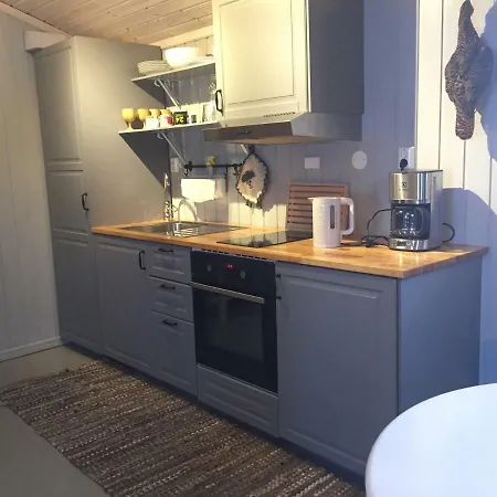 Modern Turf House Lantställe