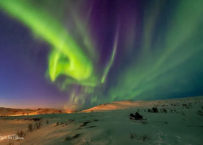 Modern Turf House Gospodarstwo wiejskie *